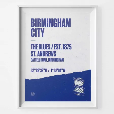 Birmingham City Football Stadium Print