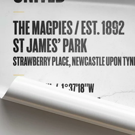 Newcastle United Football Stadium Print