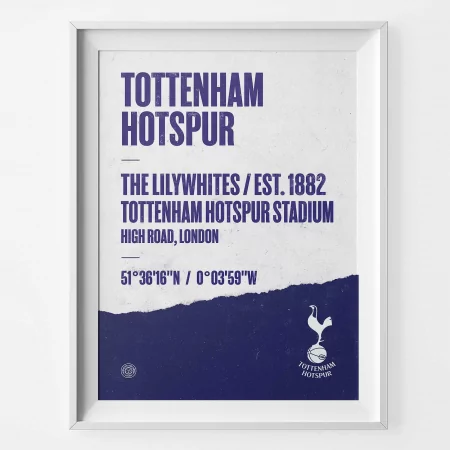 Tottenham Hotspur Football Stadium Print